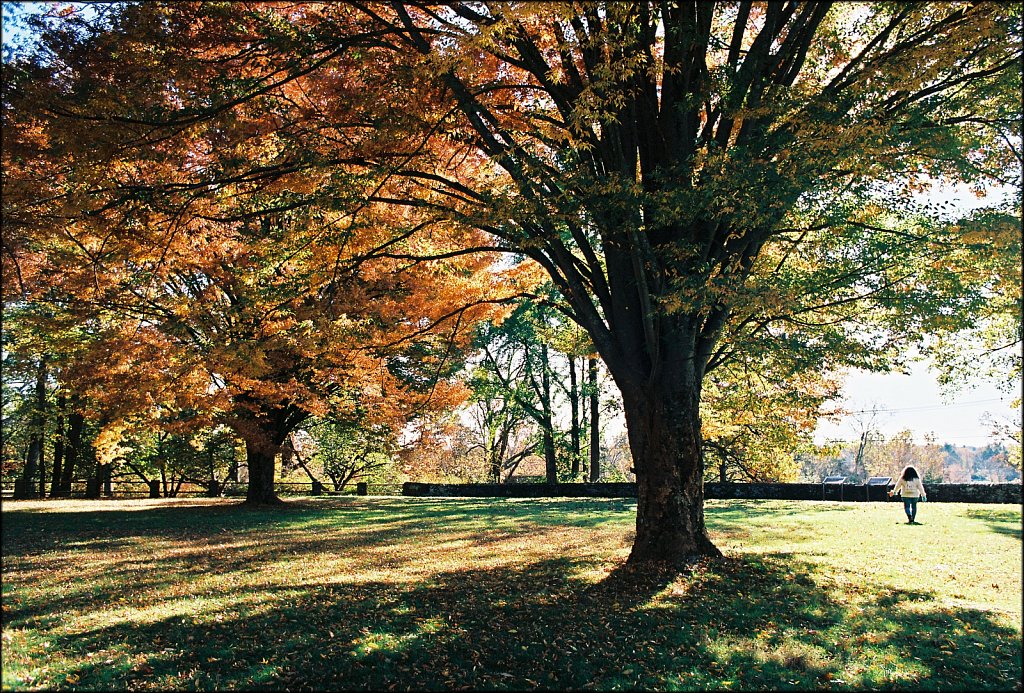 Washington Crossing State Park 