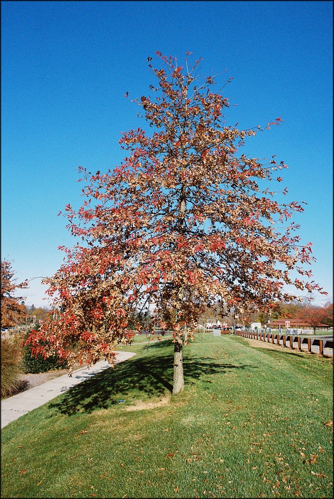 Turkey Brook Park