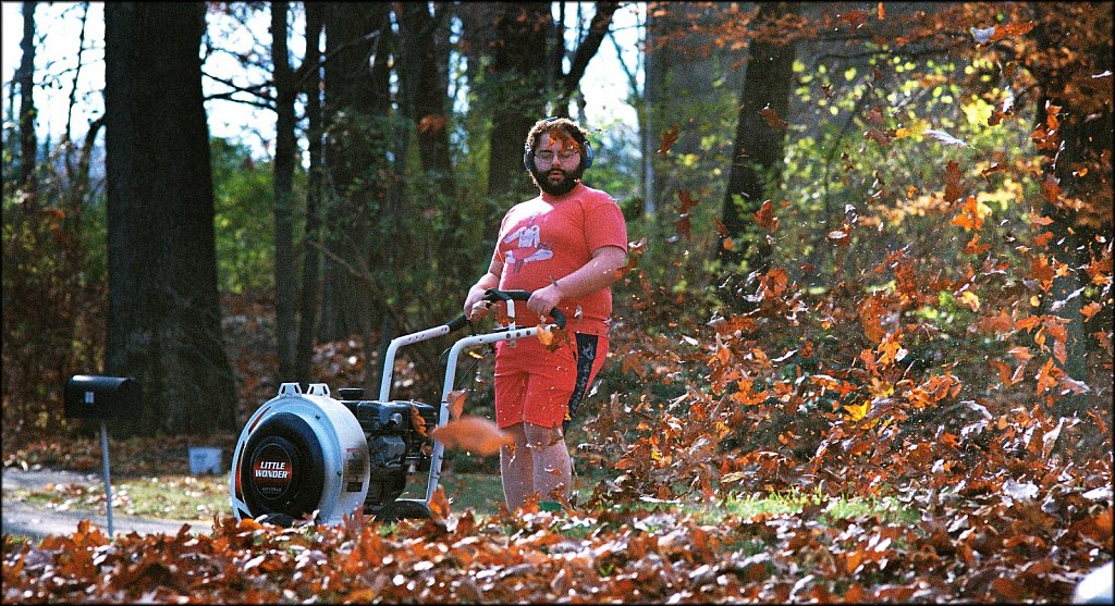 Blowing Leaves