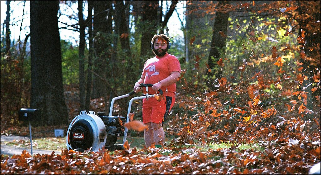 Blowing Leaves