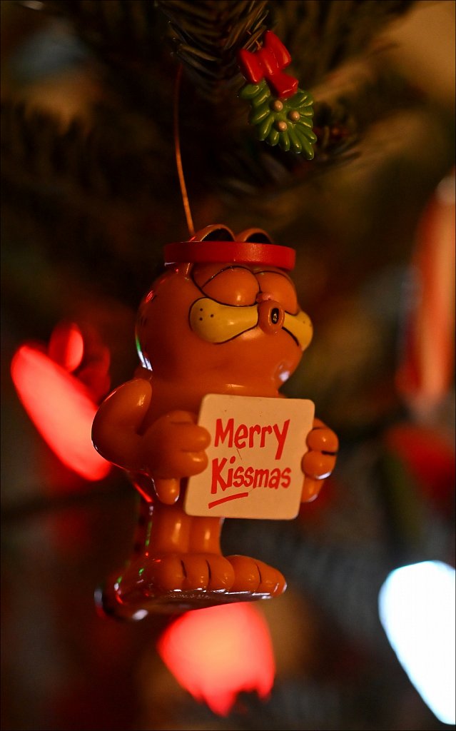 Garfield Wants A Kiss