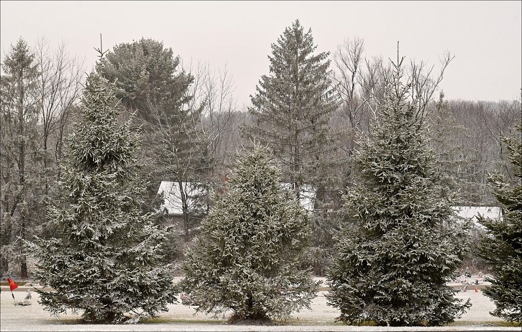 A Morning Dusting of Snow