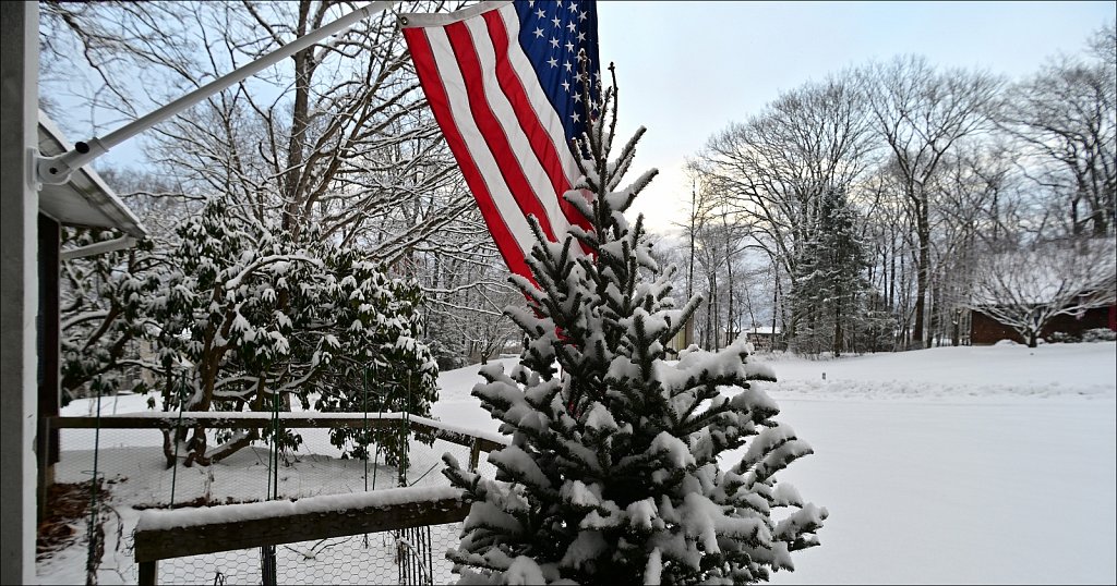 Looking Out My Front Door