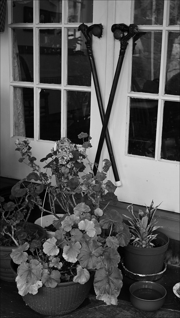 Project Black and White