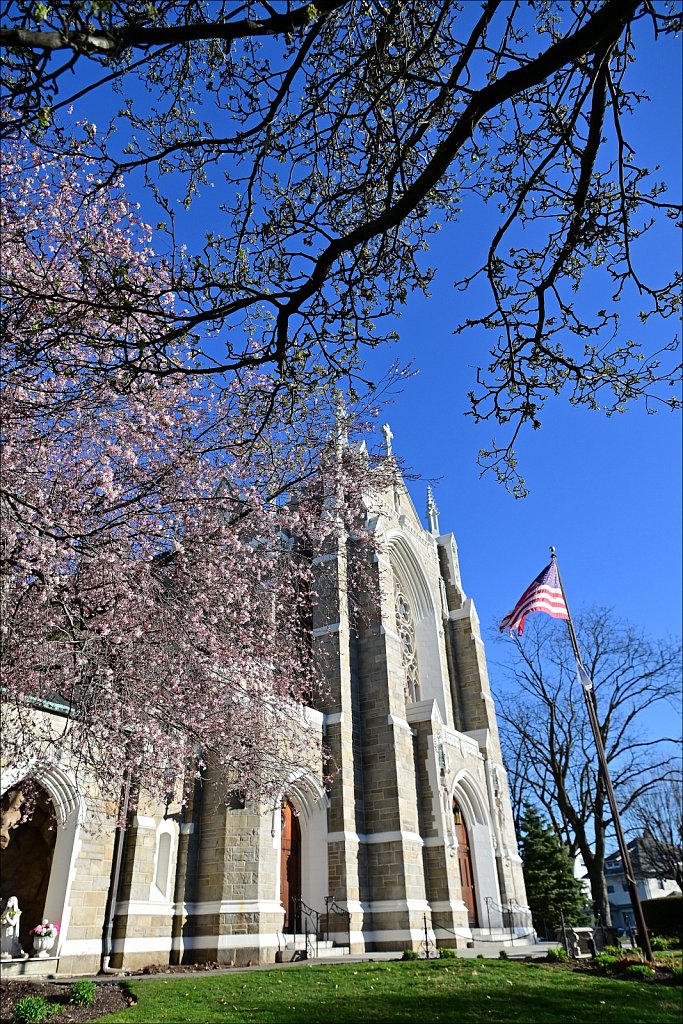 2024 Palm Sunday at Saint Paul RC Church