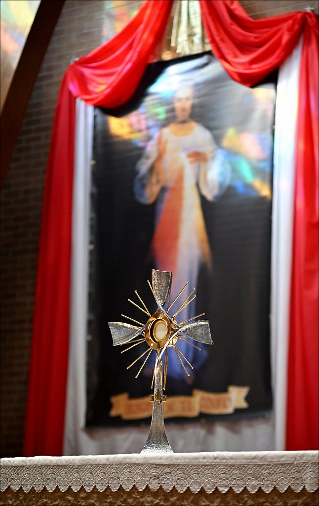Pro Life Mass and Procession