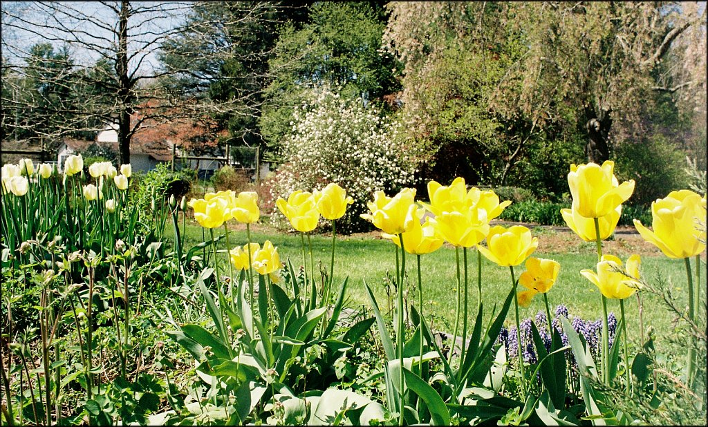 Hunterdon County Arboretum  