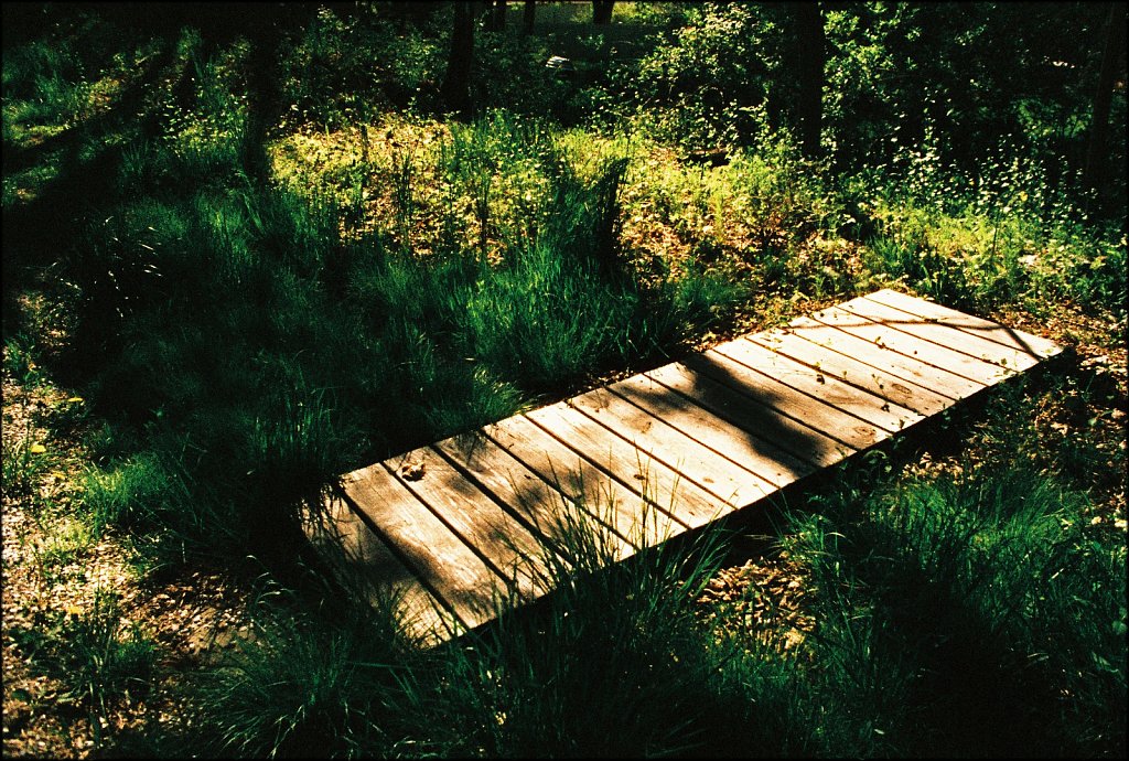 Along The Columbia Trail 