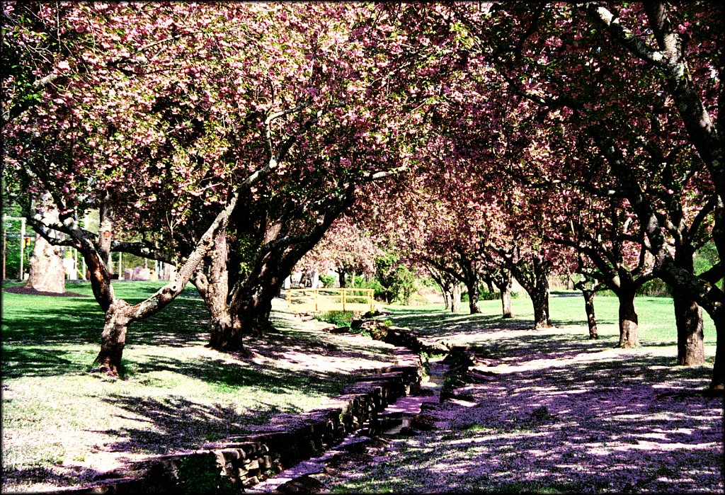 Hurd Park