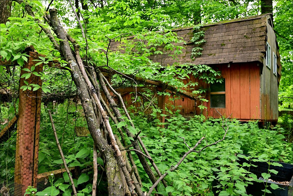 Backyard Decay