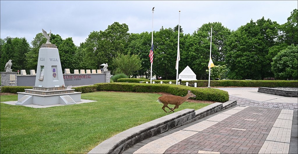 2024 Memorial Day