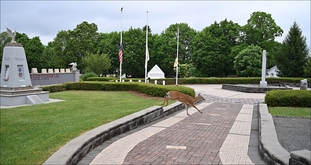 2024 Memorial Day