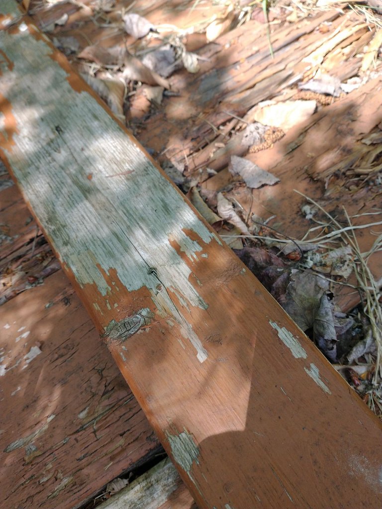 Card 7 "Old Wood"