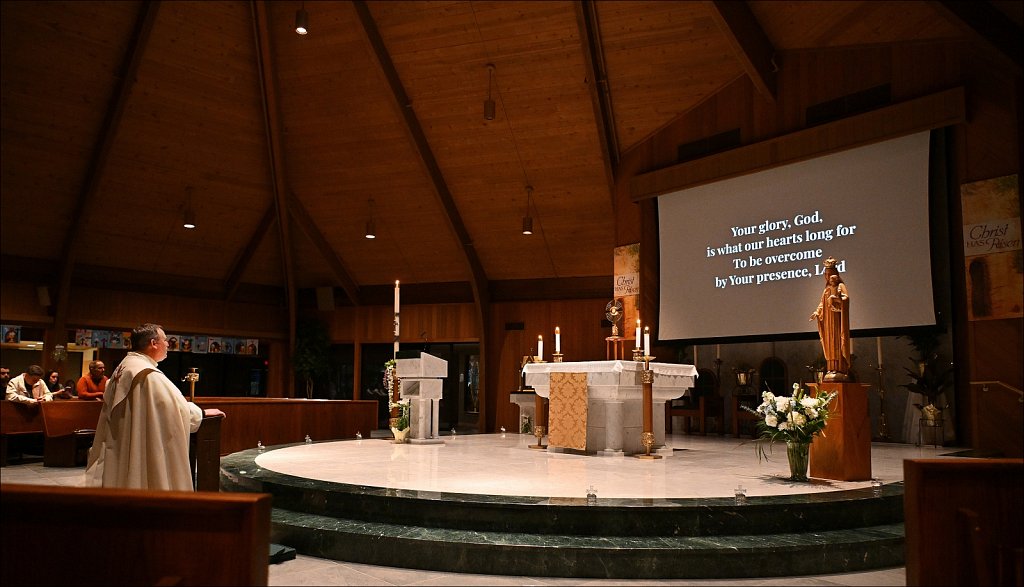 Young Adult Adoration 