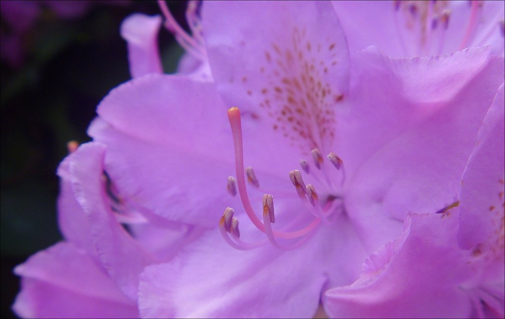 20224095F-P1010079.jpg