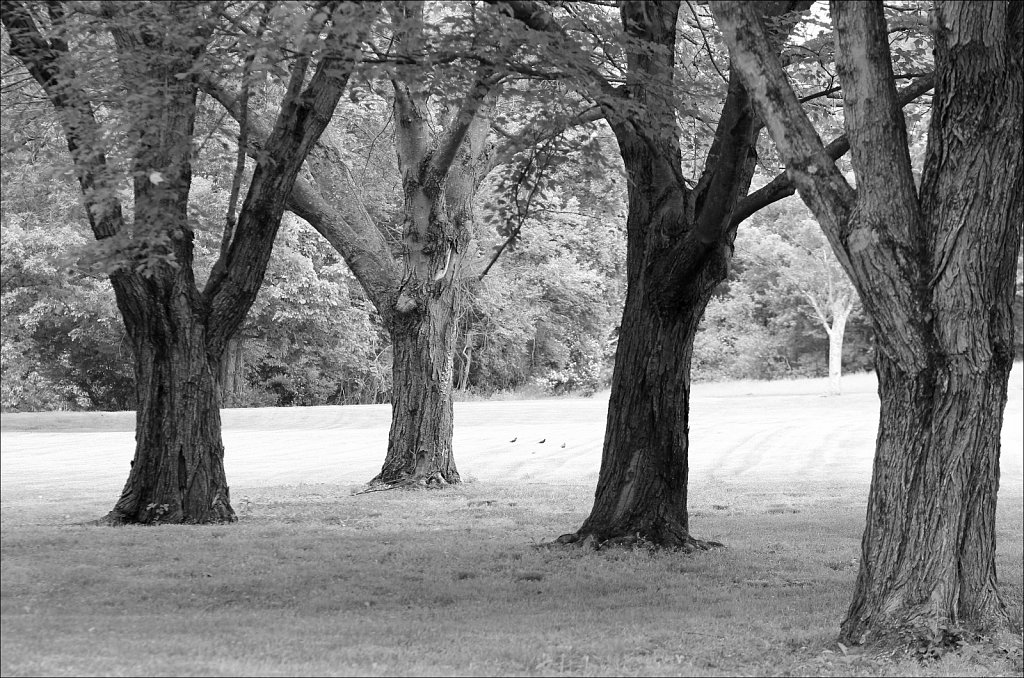 Schooley's Mountain Park 