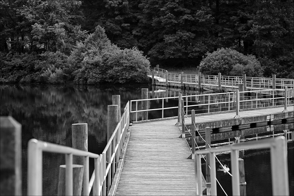Schooley's Mountain Park 