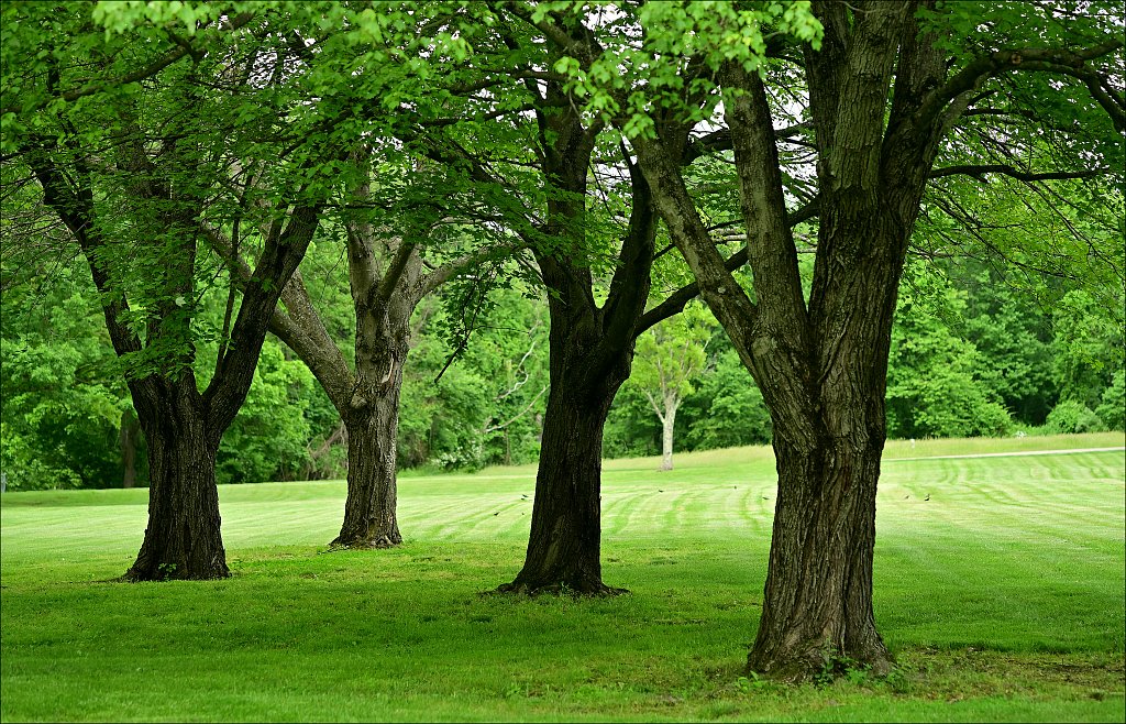 Schooley's Mountain Park 