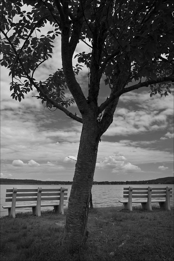 Budd Lake