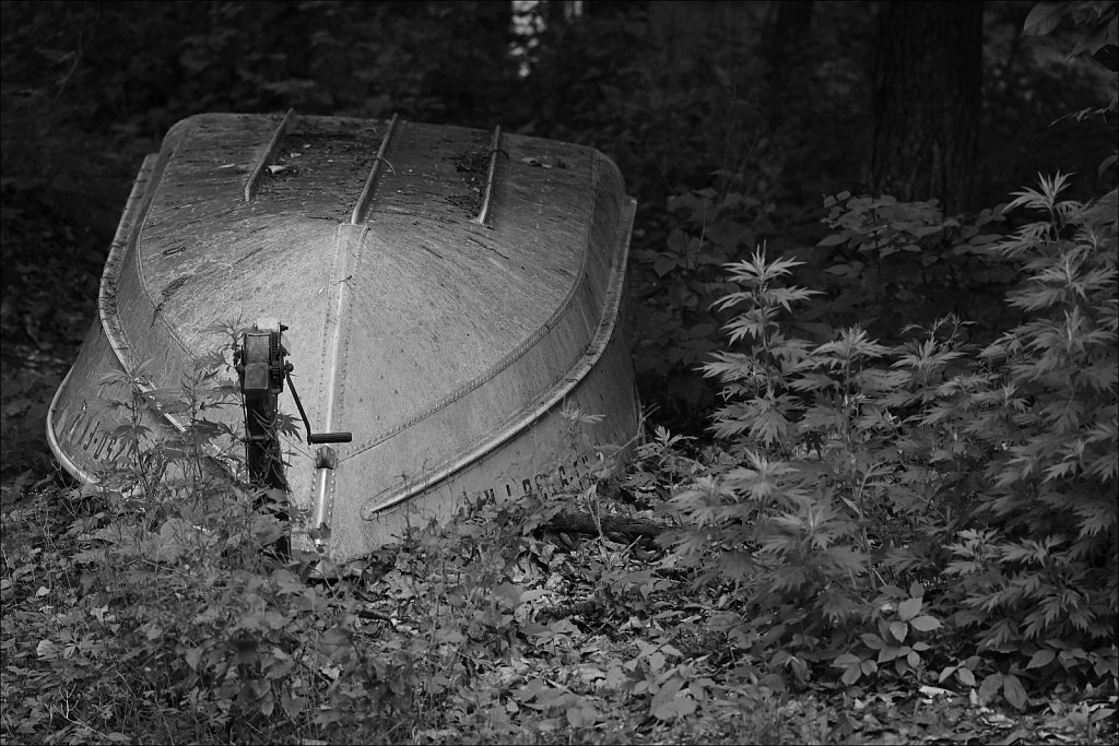 Backyard B&W