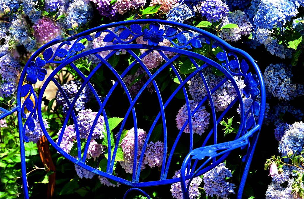The Frelinghuysen Arboretum 