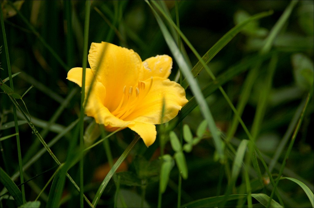 2024165F-PICT3354.jpg