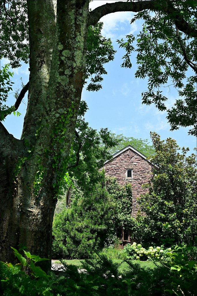 Willowwood Arboretum  