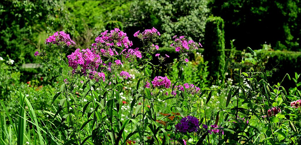 Willowwood Arboretum  