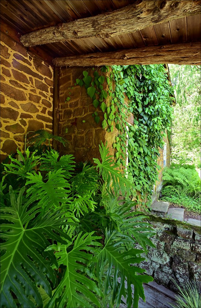 Willowwood Arboretum  