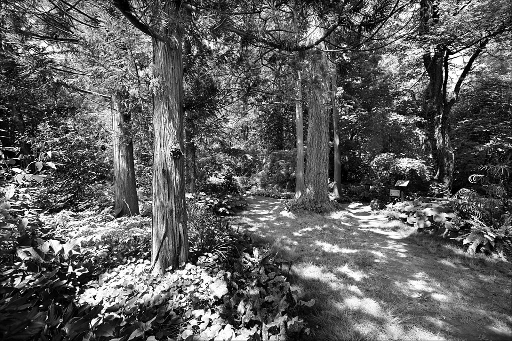 Willowwood Arboretum  