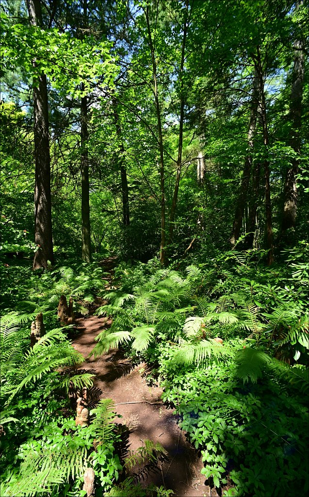 Willowwood Arboretum  