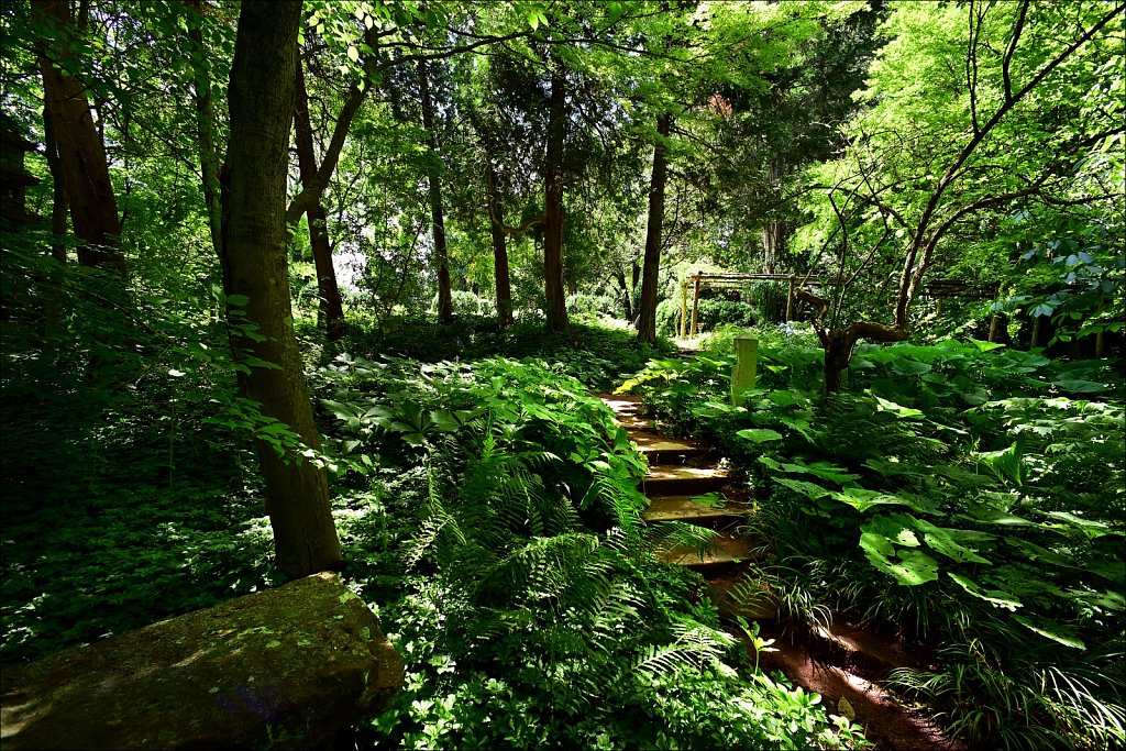 Willowwood Arboretum  