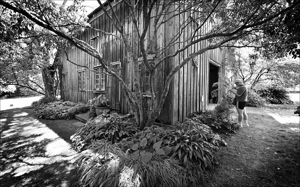 Willowwood Arboretum  