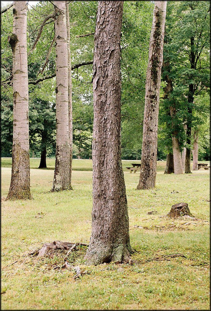 Schooley's Mountain Park