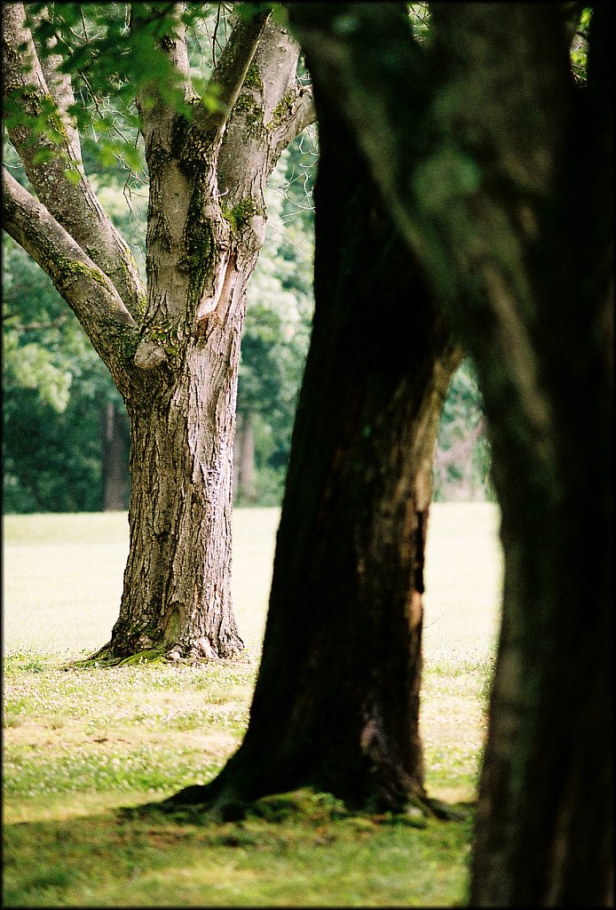 Schooley's Mountain Park