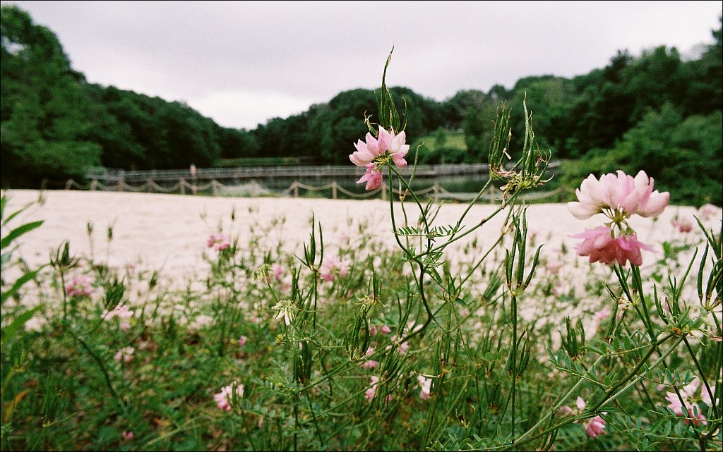 Schooley's Mountain Park