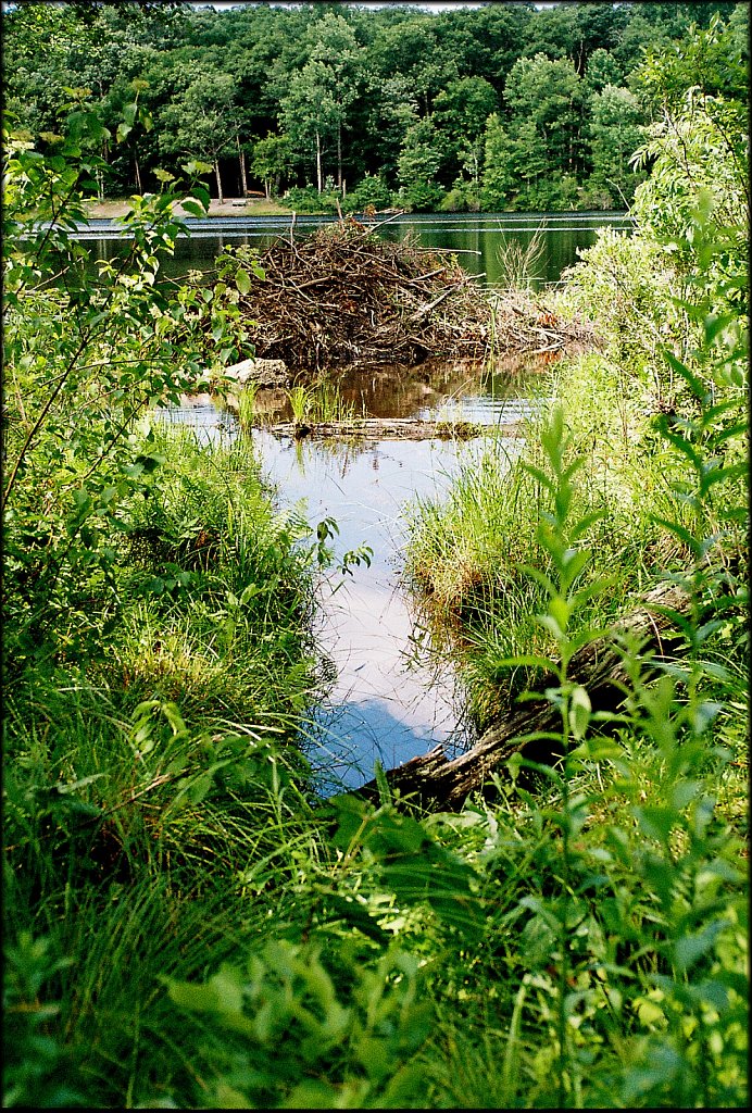 MAHLON DICKERSON RESERVATION 