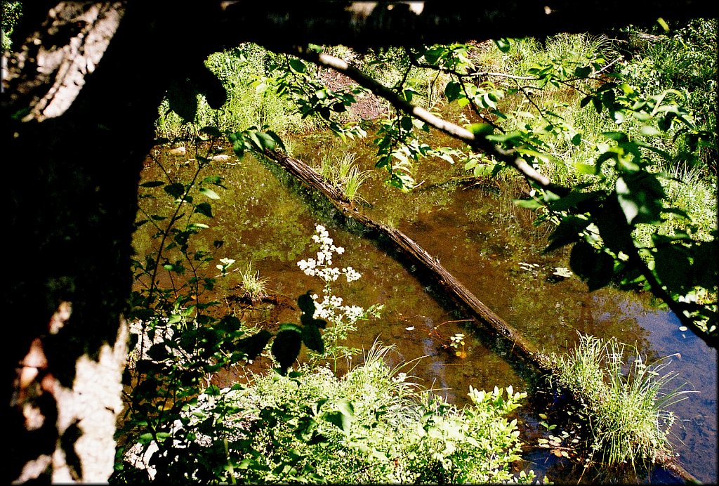 MAHLON DICKERSON RESERVATION 