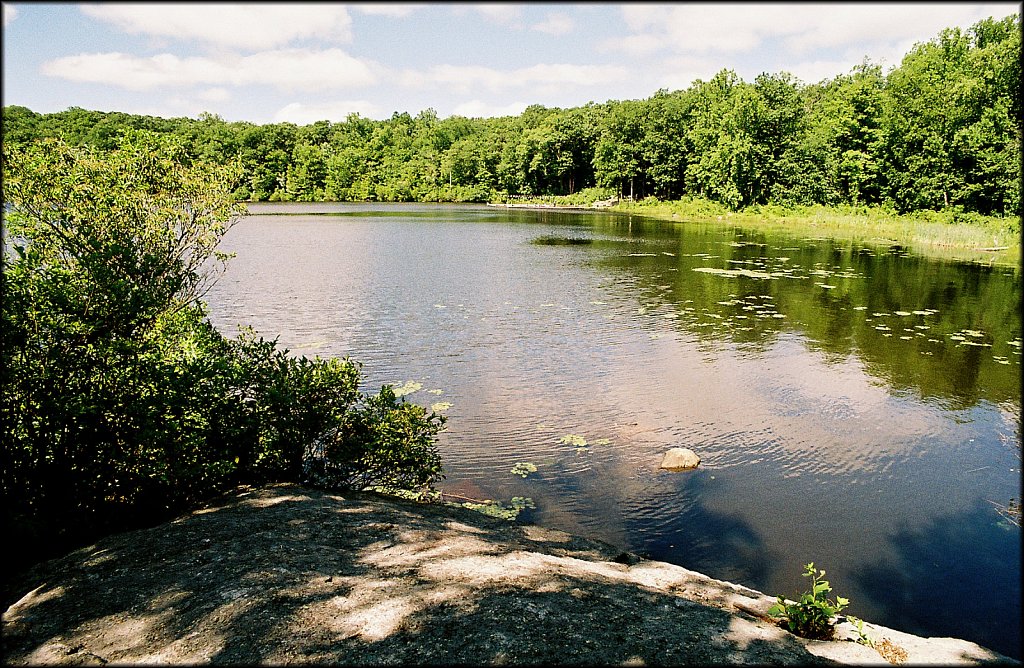 MAHLON DICKERSON RESERVATION 
