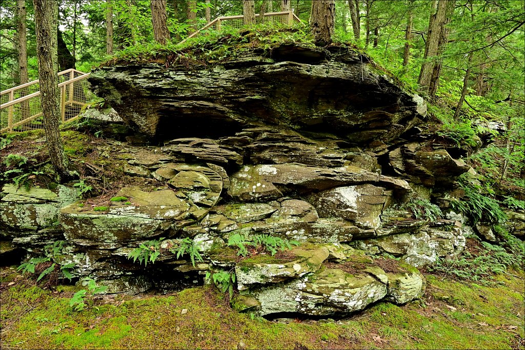 Mine Kill State Park 