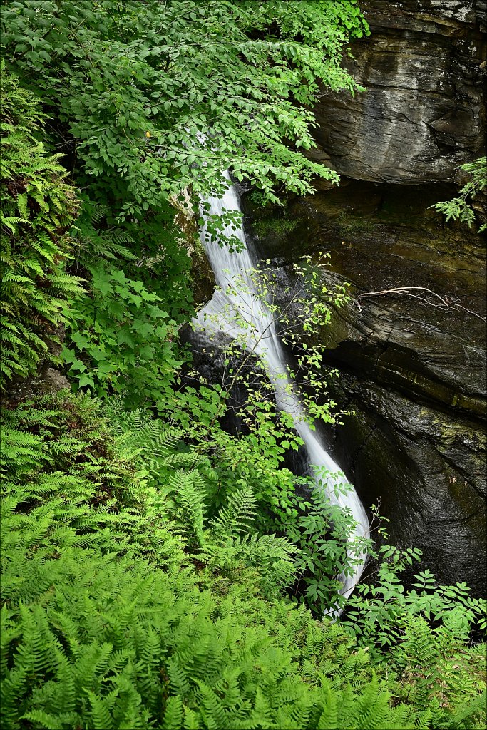Mine Kill State Park 