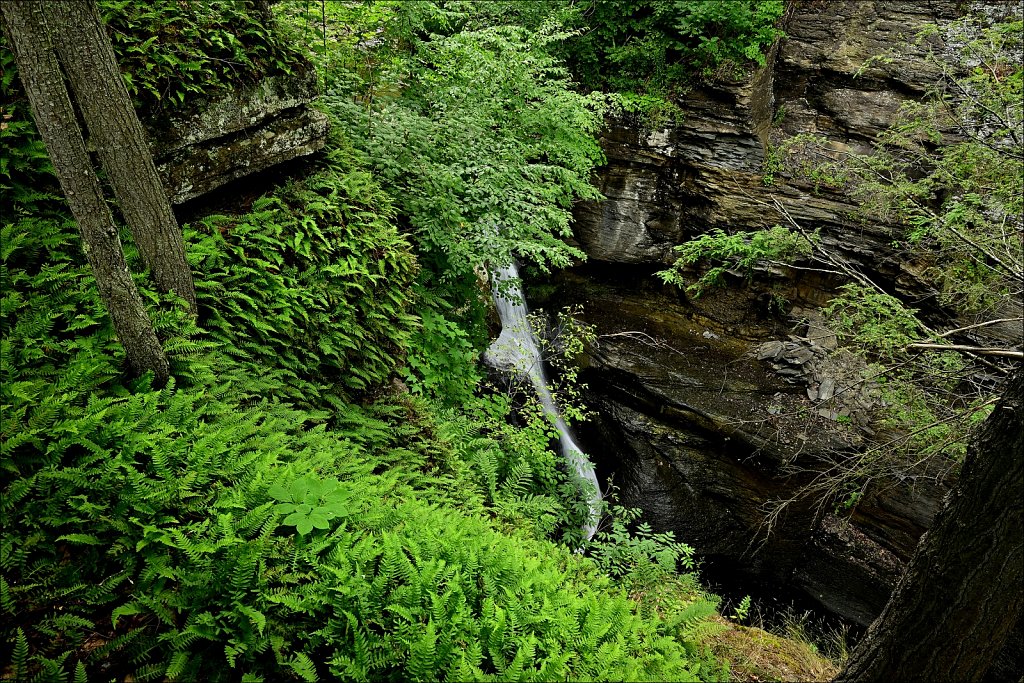 Mine Kill State Park 
