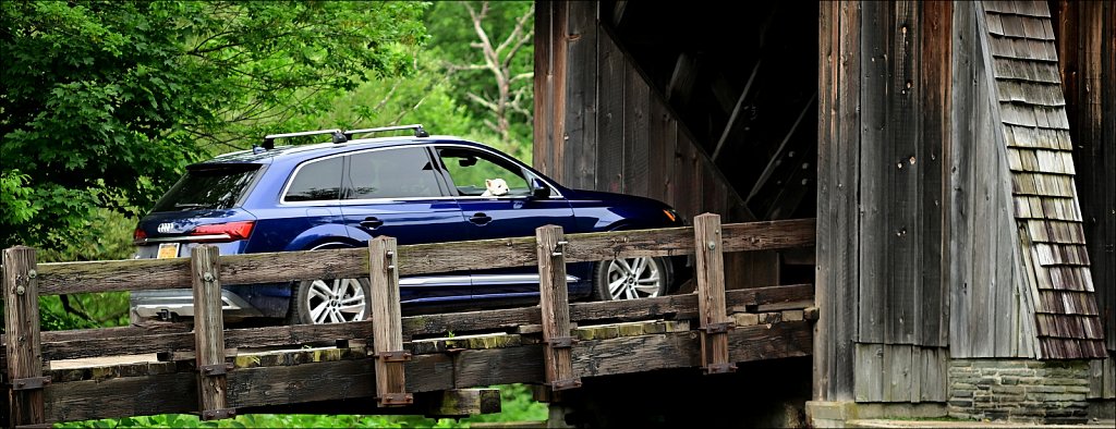 Livingston Manor Covered Bridge 