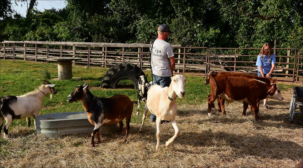 2024 Morris County 4H Fair