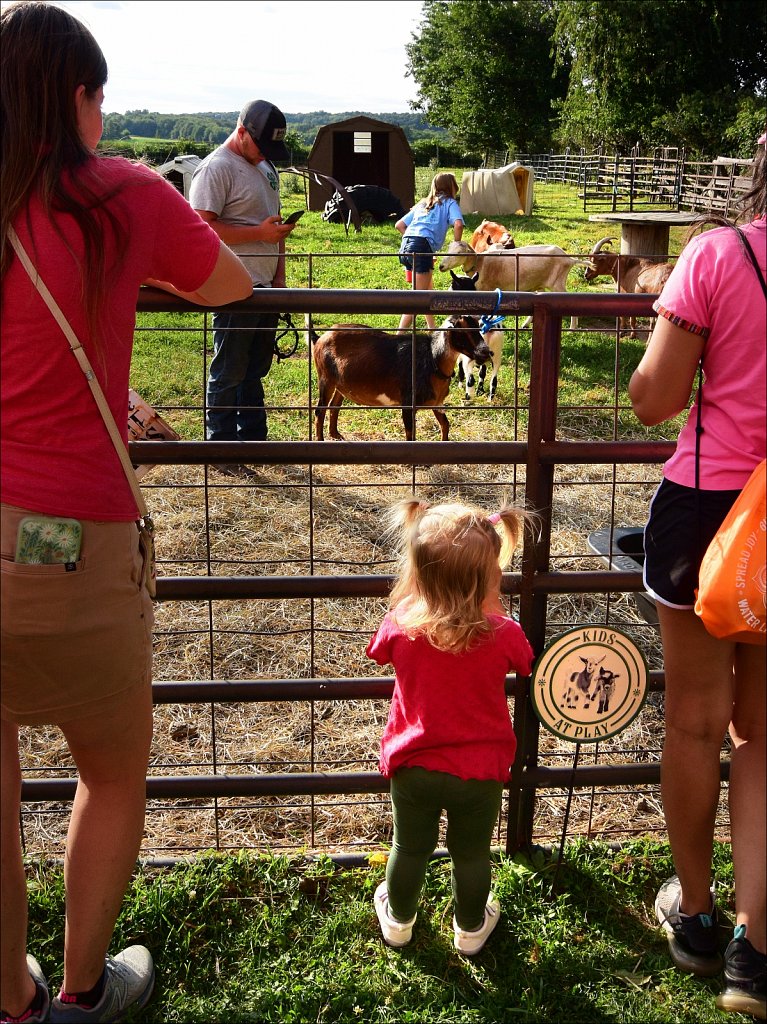 2024 Morris County 4H Fair