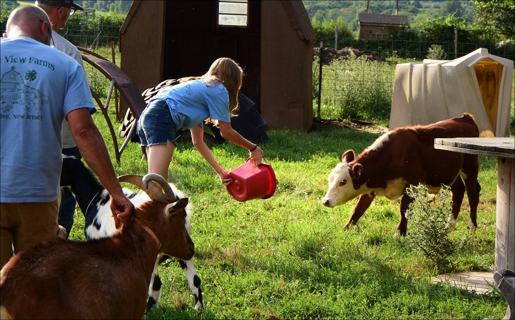 2024 Morris County 4H Fair