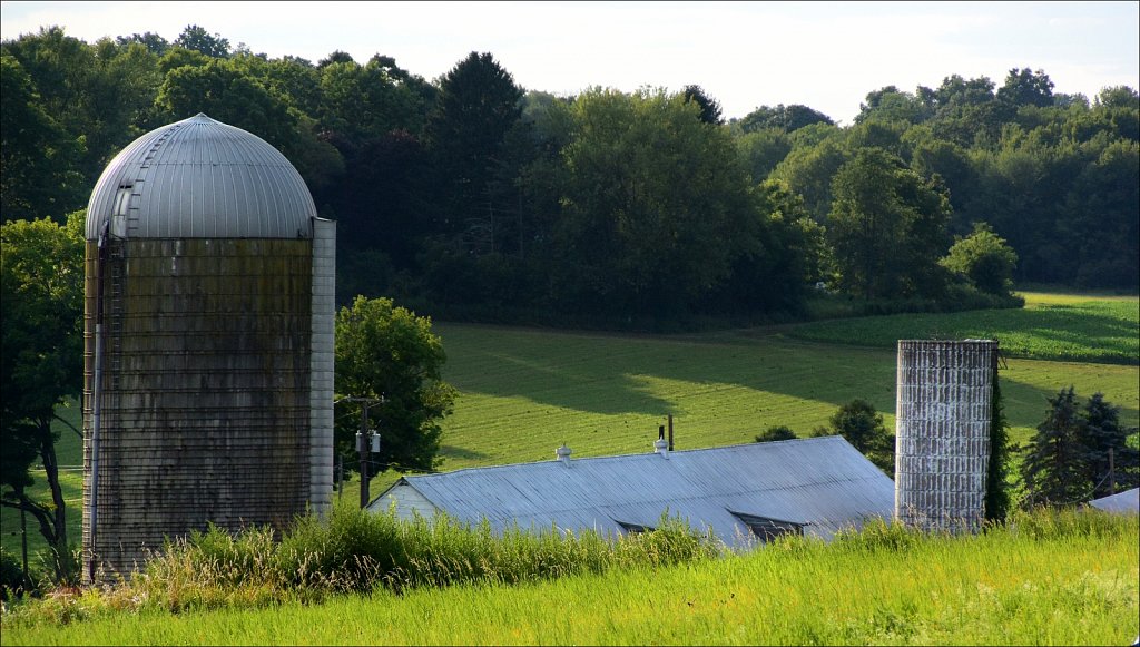 2024 Morris County 4H Fair