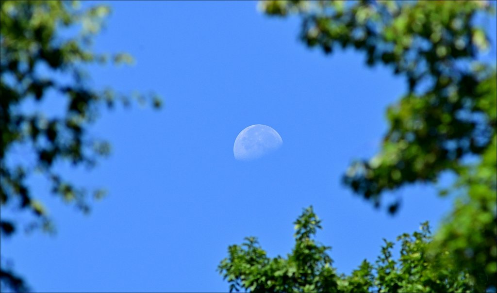 Setting Moon