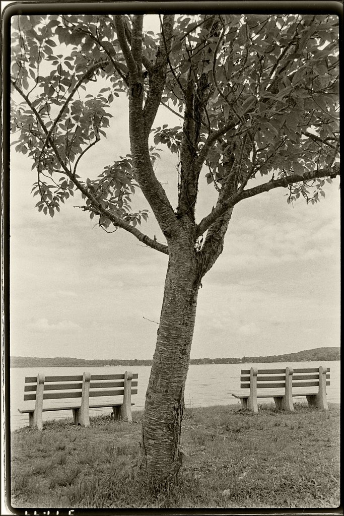 Budd Lake