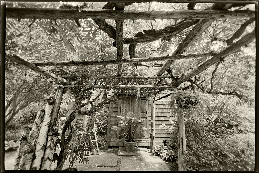 Willowwood Arboretum 